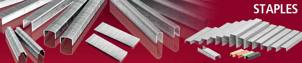 Staples_3 Kangaro No. 10 Stapler Pins