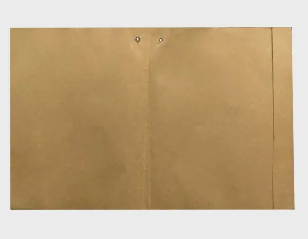 Lucky_Fly_Leaf_3 Lucky Fly Leaf - Record File