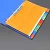 File Separator/Divider (Set of 10) A4 - Multi-Color