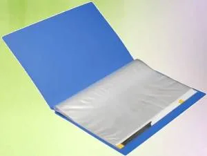 Display_File_Cover Laminated (Poly) Fly Leaf - Record File